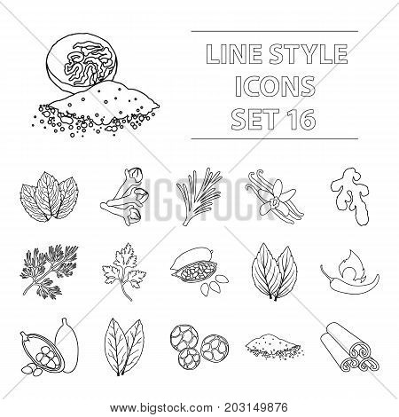 Herb and spices set icons in outline style. Big collection herb and spices vector symbol stock