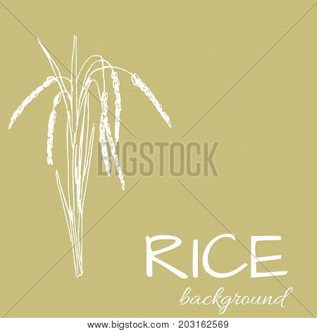 vector background with rice logo hand-drawn plants