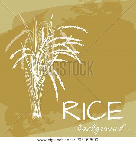 vector background with rice logo hand-drawn plants