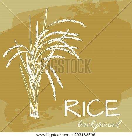vector background with rice logo hand-drawn plants