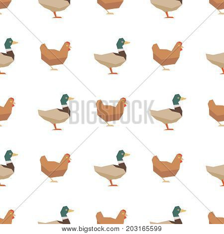 Ducks and chickens seamless pattern. Vector farm birds illustration background
