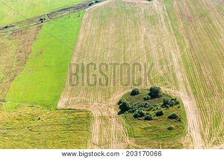 Green Winter And Yellow Harvested Fields