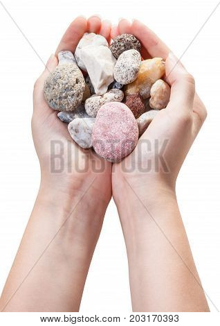 Various Natural Pebble Stones In Handful Isolated