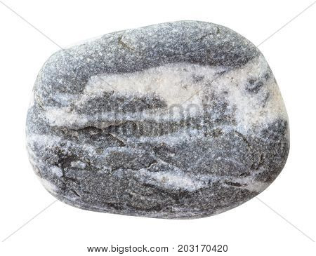 Specimen Of Greywacke Stone Isolated
