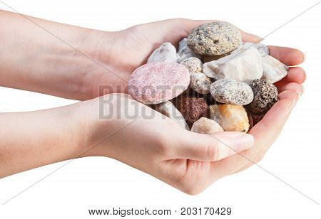 Side View Of Various Natural Pebbles In Handful