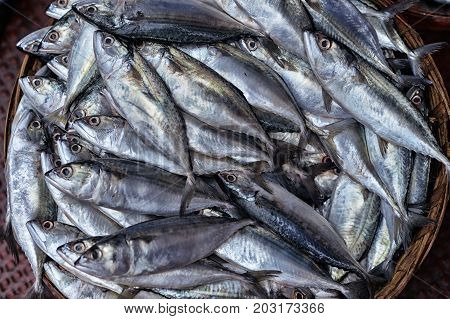 close up view of fresh fish in wicker bowl