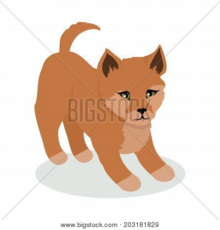 Dingo cartoon character. Wild dingo dog flat vector isolated on white background. Australian or Asian fauna. Cute puppy icon. Animal illustration for zoo ad, nature concept, children book illustrating