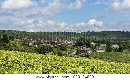 The town of Hautvillers with vineyards in the Champagne districht in France.
