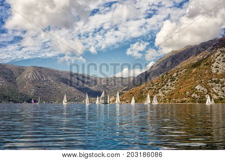 Risan Montenegro - September 3 2017: group of yachts in the Bay of Kotor Montenegro