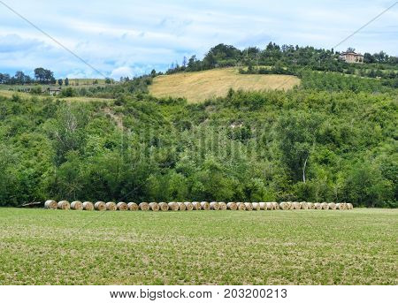 Summer landscape along the road from Maranello to Serramazzoni (Modena Emilia Romagna Italy) at summer