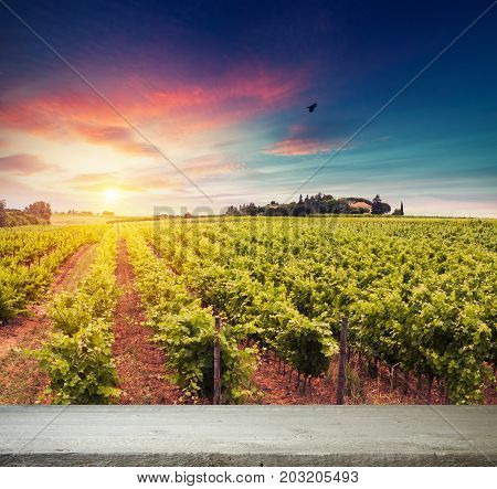 Red wine with barrel on vineyard in green Tuscany, Italy.