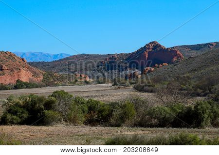 Bushes In The Field With Mountains In The Foreground