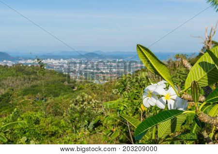 Panoramic View From The Hill Big Buddha In Phuket Thailand