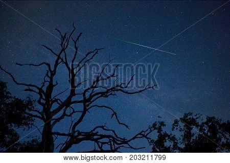 A perseid 'falling star' on a clear sky in august in the netherlands