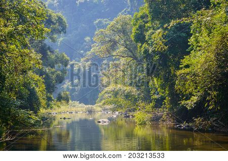 Scenery In Khao Sok National Park In Thailand. Khao Sok National Park The Rain Jungle Forest In Sura