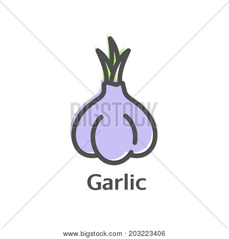 Garlic Thin Line Icon. Isolated Condiment Linear Style For Menu, Label, Logo. Detailed Vegetarian Fo