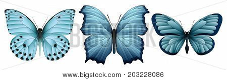 Set of colorful realistic butterflies. Vector 3D illustration