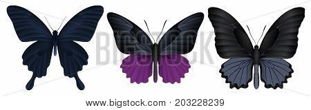 Set of colorful realistic butterflies. Vector 3D illustration