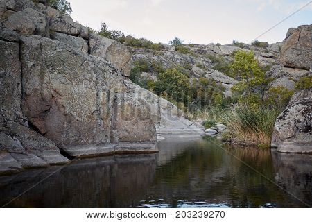 Increadibly beautiful lake in abandoned granite quarry on a blue sky background. Green magnificent nature. Colorful plants and trees on a stone canyon. Nature, summer, travel concept.