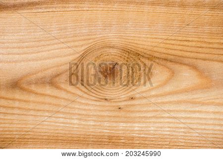 larch wood knot increased zoom photo background