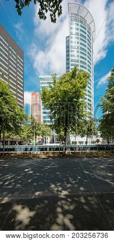 modern palaces in the city of Rotterdam