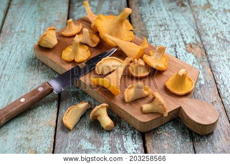 Raw forest mushrooms chanterelle on cutting board with wooden handle knife on vintage turquoise background closeup