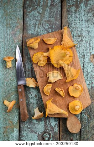Raw wild mushrooms chanterelle on wooden board with wooden handle knife on vintage turquoise background vertical