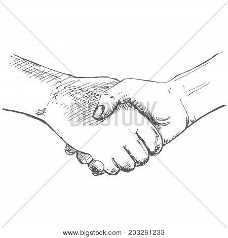 Two hands handshake. Illustration in sketch style. Hand drawn vector illustrations.