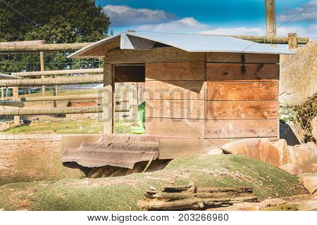 chicken coop in the yard of a farm