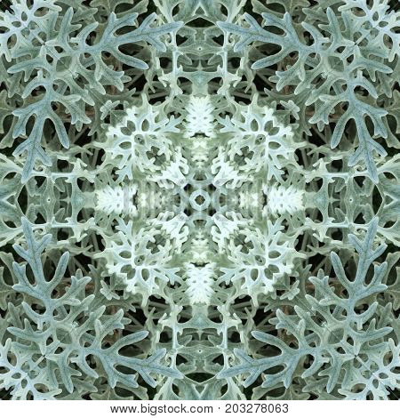 Abstract decorative plant background. Seamless symmetric pattern.