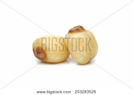 Closeup of dreid lotus seeds isolated on white
