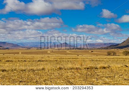 Orange Free State panorama on the road to Karoo South Africa. African landscape