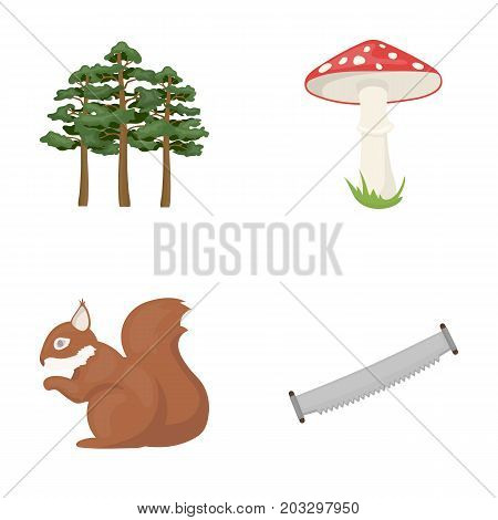 Pine, poisonous mushroom, tree, squirrel, saw.Forest set collection icons in cartoon style vector symbol stock illustration .