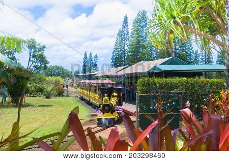 Oahu June 2012: this red train take tourist visiting the big Dole pinapple plantation in Oahu Island Hawaii. This is not only a tourists attraction infact from this place a lot of fruites are exported to other countries.