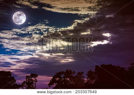 Sky With Clouds And Moon Above Silhouettes Of Trees. Serenity Nature Background.