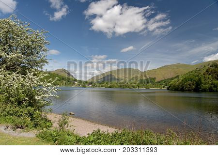 Shore of Grasmere in the English Lake District