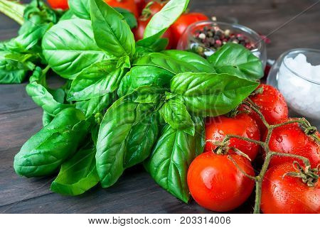 Tomatoes And Bunch Of Fresh Green Basil On A Dark Wood Background,