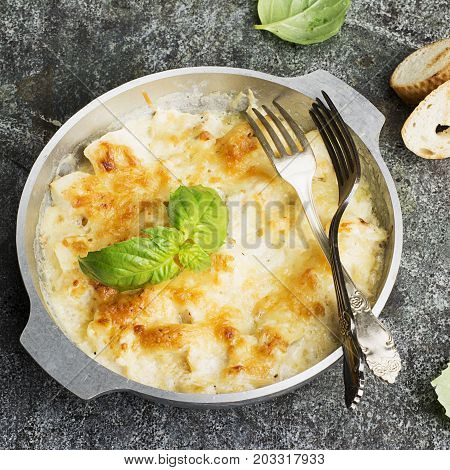 Fragrant homemade casserole with cod and onion in cream sauce with horseradish under a cheese ruddy crust in a form on a gray background with crispy grilled toast. Top View