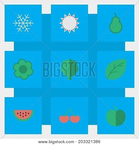 Elements Sheet, Berry, Wood And Other Synonyms Apple, Snowflake And Sunny.  Vector Illustration Set Of Simple Horticulture Icons.