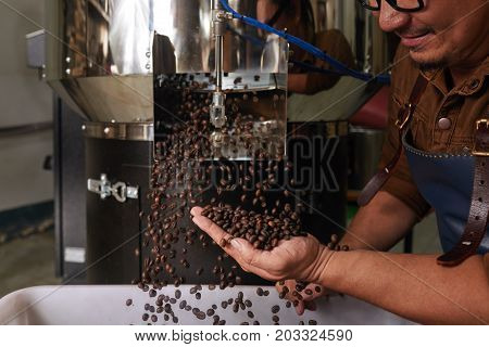 Man catching coffee beans falling out of roastery machine
