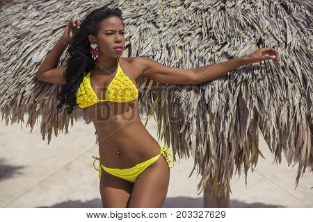 sexy black girl is relaxing on the beach