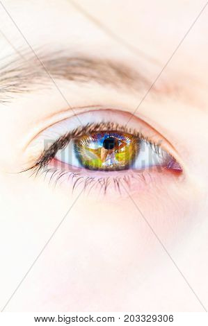 Photographer portrait reflection in the open human eye. Outdoors close-up.