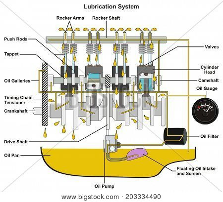Vehicle Lubrication System infographic diagram showing cross section of car engine with all parts and path of lubricant oil and pan filter and gauge for mechanical and road safety awareness education