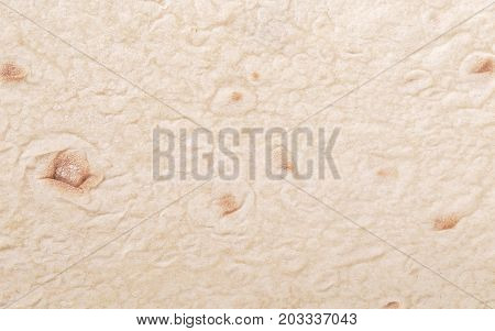 The Tortilla Wrap Bread.Close up texture .