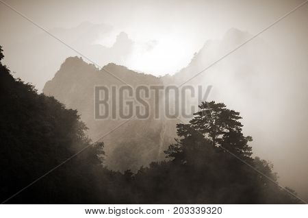 Foggy Wudang mountains. black and white toned photo