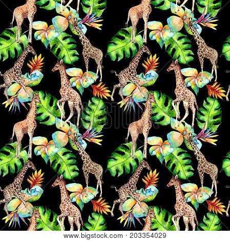 Exotic giraffe wild animal pattern in a watercolor style. Full name of the animal: camelopard. Aquarelle wild animal for background, texture, wrapper pattern or tattoo.