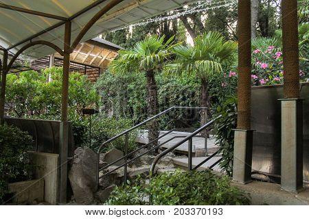 Yalta, Crimea - 11 July, Plants in the zoo, 11 July, 2017.
Zoo and animals on the territory of the hotel Yalta Intourist.