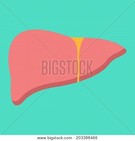 Liver flat icon, medicine and healthcare, human organ sign vector graphics, a colorful solid pattern on a cyan background, eps 10.
