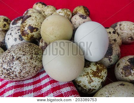 Organic Easter.Fresh rustic quail eggs lying on beautiful napkins on a table.