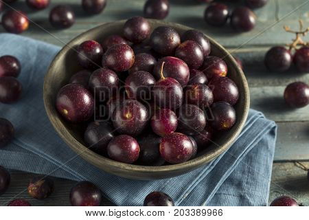 Homemade Sweet Muscadine Grapes